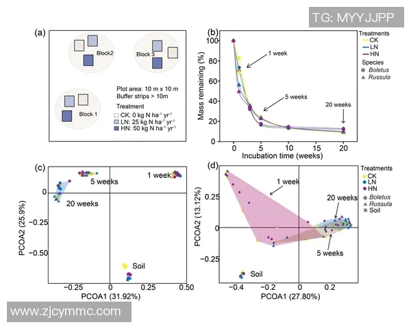 成都滑板队进攻战术解析与滑板热点动态探讨