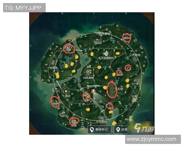 和平精英V5赛季中路突破策略解析与战术运用探讨