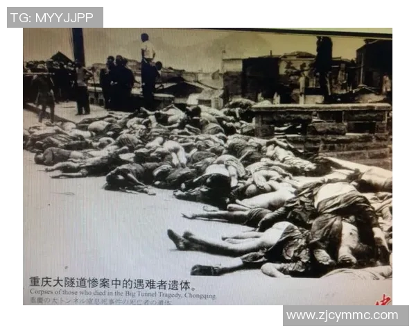 南京排球队转型纪实:从传统到现代的奋斗与蜕变之路