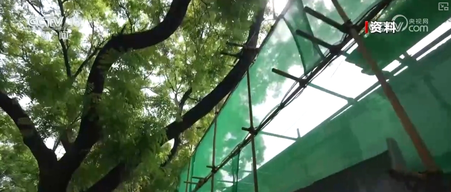 ng28南宫古建抖擞华彩 北京中轴线是古都庇护与可连续开展的中国案例(图15)